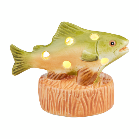 Fish Light Up Sitter